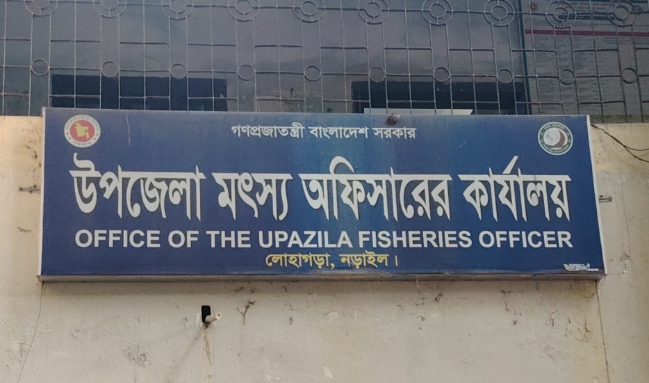 লোহাগড়ায় গরু কান্ডে দূর্নীতিবাজদের কোন ছাড় দেওয়া হবে না-এমপি আতাউর রহমান বাচ্চু