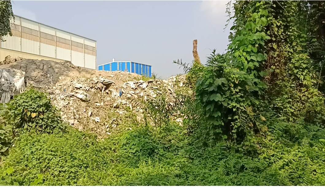 গাজীপুরের মনিপুর বিটে বনের জমি দখলের অভিযোগ, সংশ্লিষ্টদের বিরুদ্ধে প্রতিবাদের ঝড়