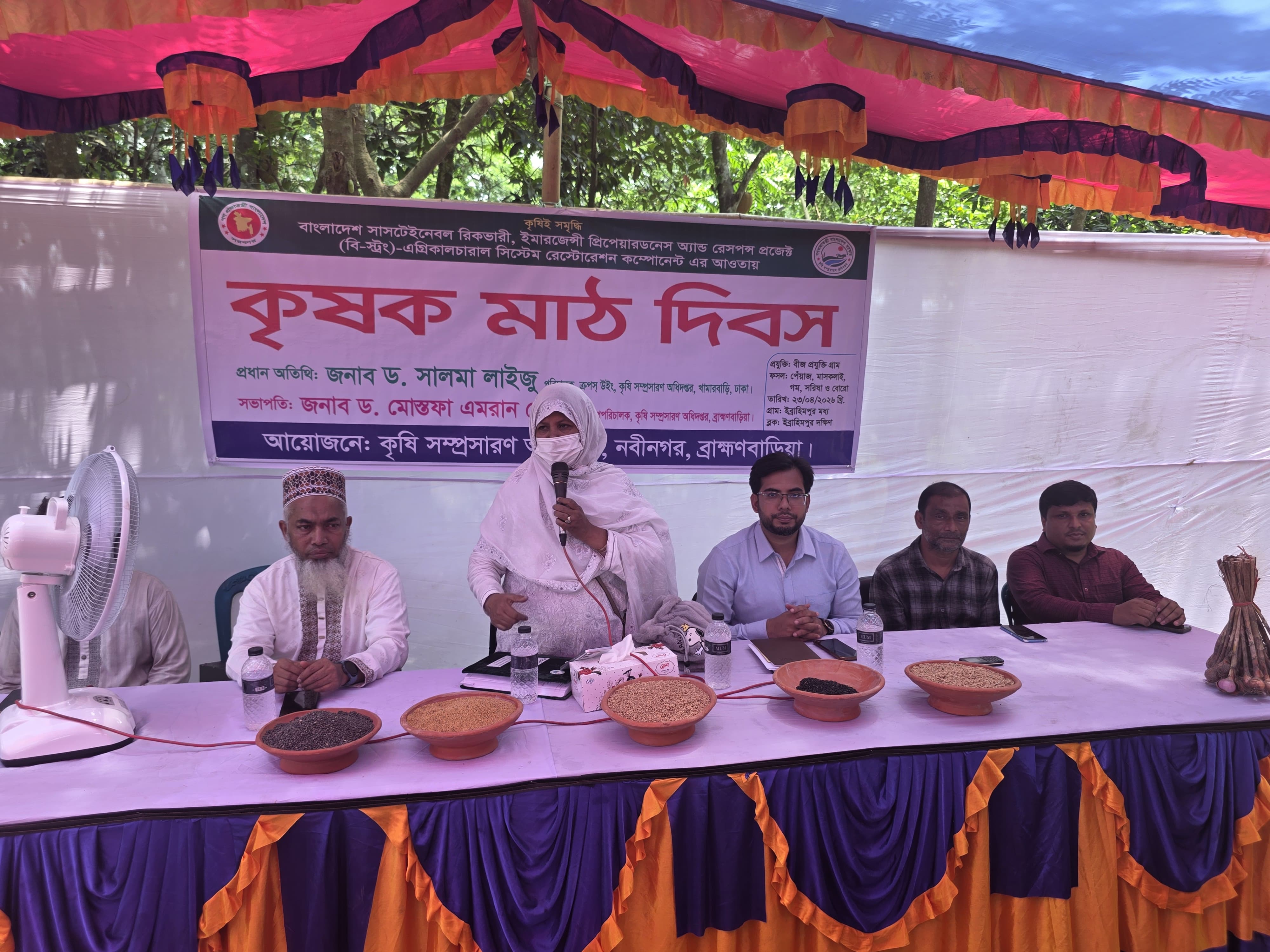 নবীনগরে ‘বি স্ট্রং’ প্রকল্পের বীজ প্রযুক্তি গ্রামে মাঠ দিবস