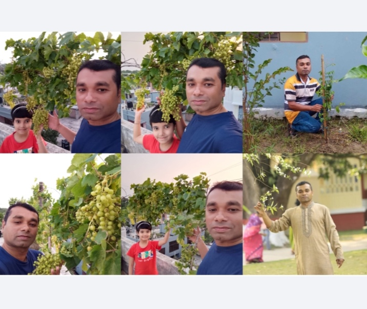 এক ছাদে হাজার স্বপ্ন-ব্যাংকার আশরাফি নোমানের সবুজ বিপ্লবে বদলাচ্ছে নগর জীবনের পরিবেশ