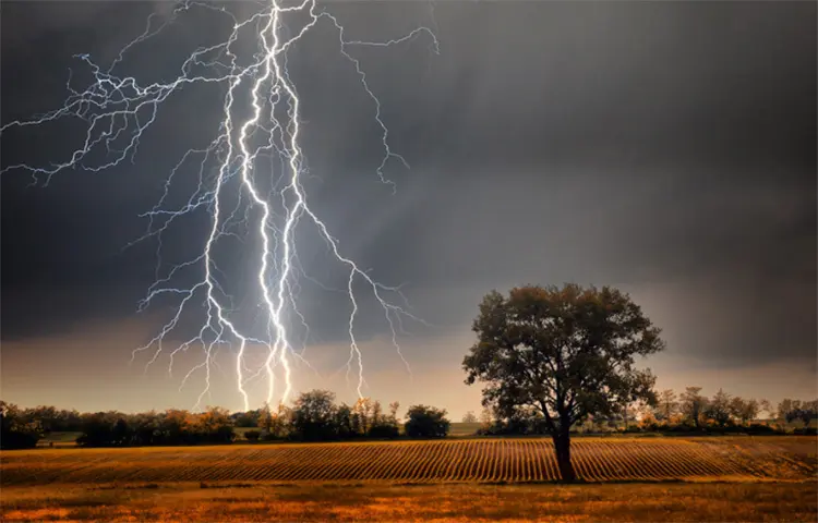 নাটোরের সিংড়ায় বজ্রপাতে ধানকাটা শ্রমিক নিহত