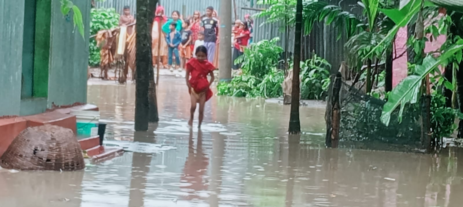 অল্প বৃষ্টিতে জলাবদ্ধতা, তাড়াইলের দামিহা মধ্যপাড়া শতাধিক পরিবারের দুর্ভোগ
