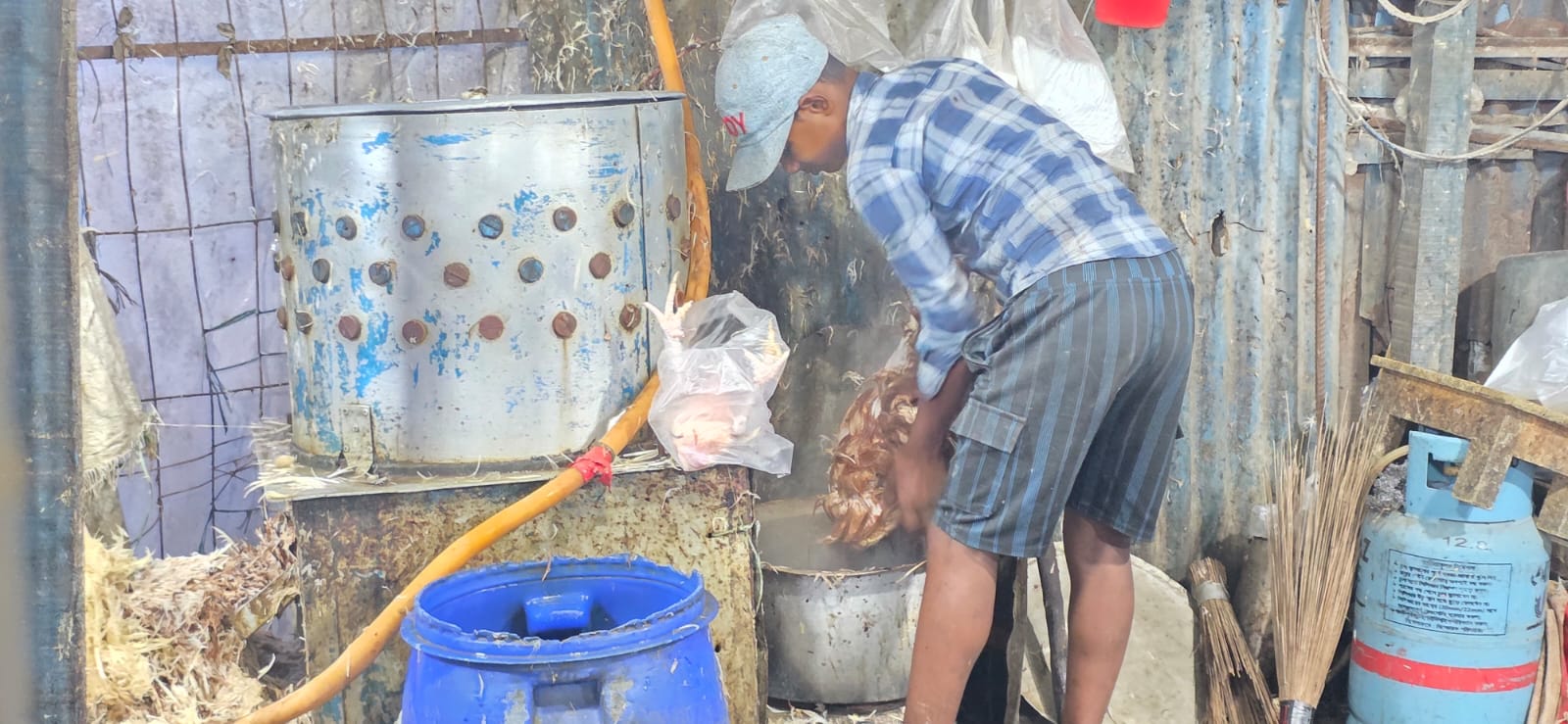 কালিয়াকৈরে এক ড্রাম কালো পানিতে সকাল থেকে সন্ধ্যা পর্যন্ত মুরগি ড্রেসিং,ক্যান্সার জীবাণুর ঝুঁকিতে জনসাধারণ