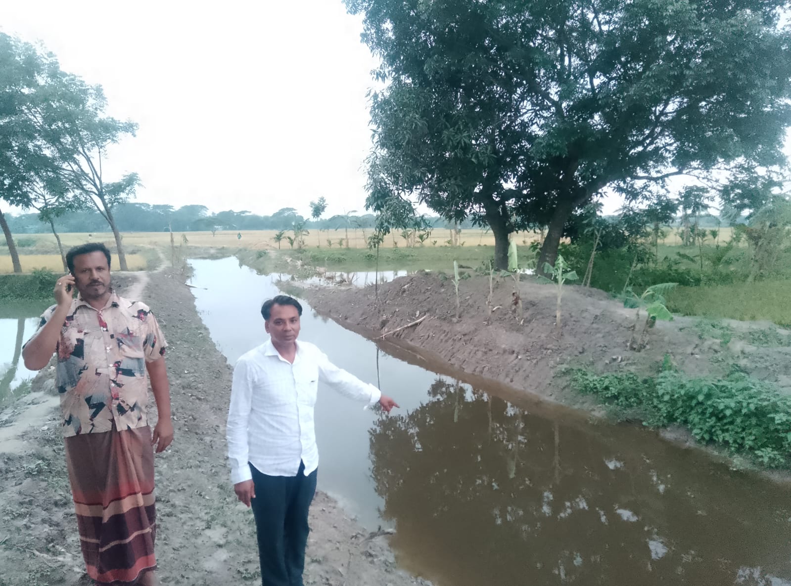 টনিহারা খাল খননে পুমদীর কৃষকের মুখে হাসি, ঘরে উঠছে সোনালী ফসল