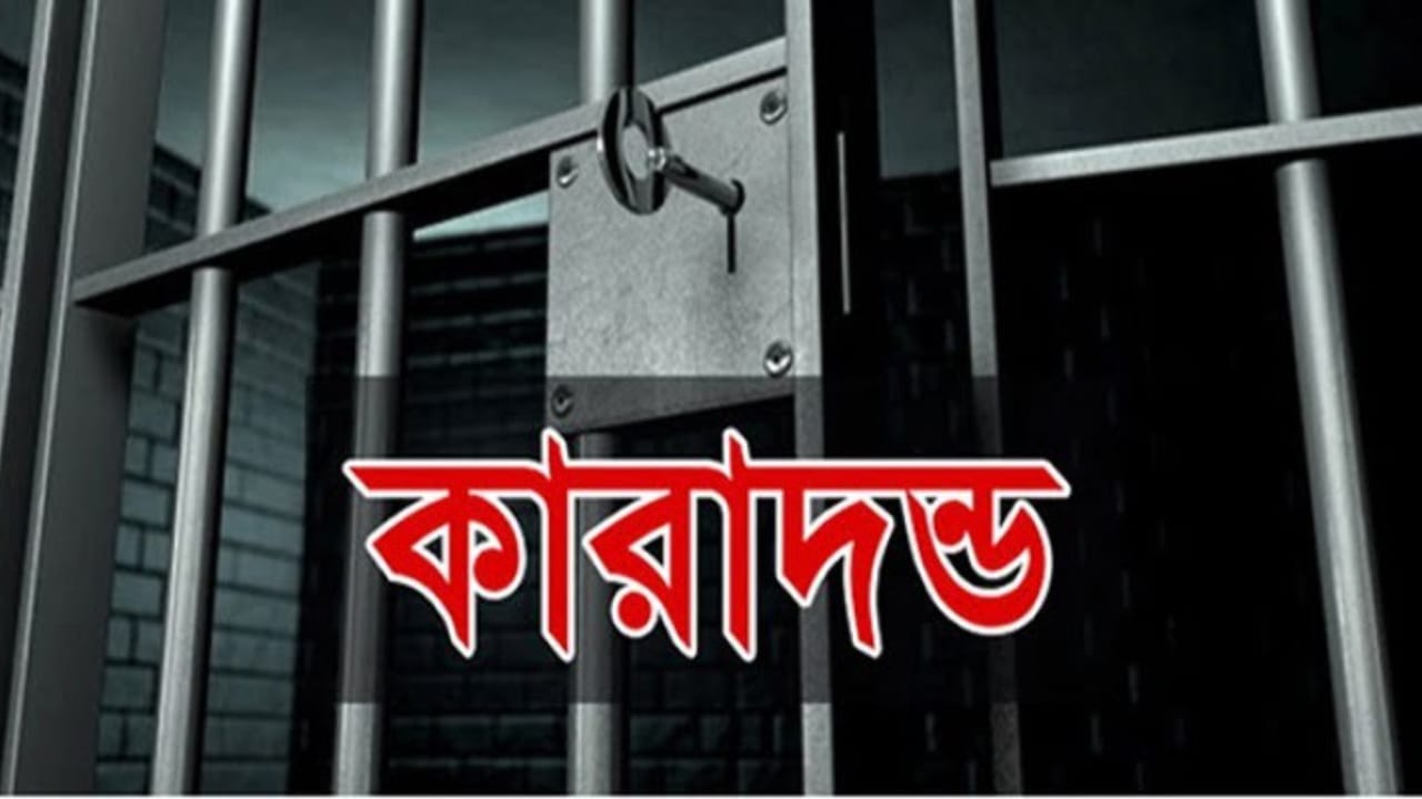খুলনায় অস্ত্র মামলায় যুবকের ১৭ বছরের কারাদণ্ড