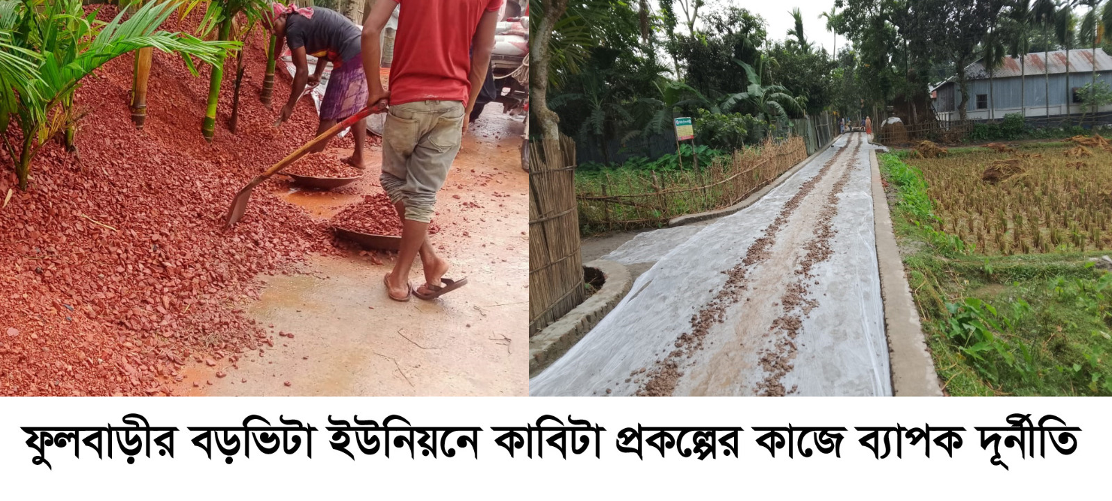 ফুলবাড়ীর বড়ভিটা ইউনিয়নে  কাবিটা প্রকল্পের কাজে ব্যাপক দূর্নীতি