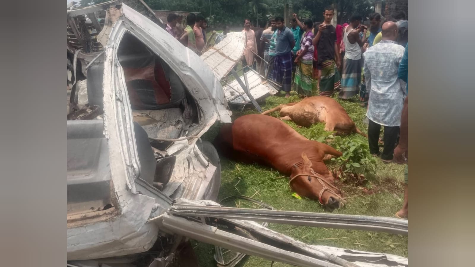 কিশোরগঞ্জে গরুবাহী পিকআপ উল্টে চালক নিহত,আহত-৩