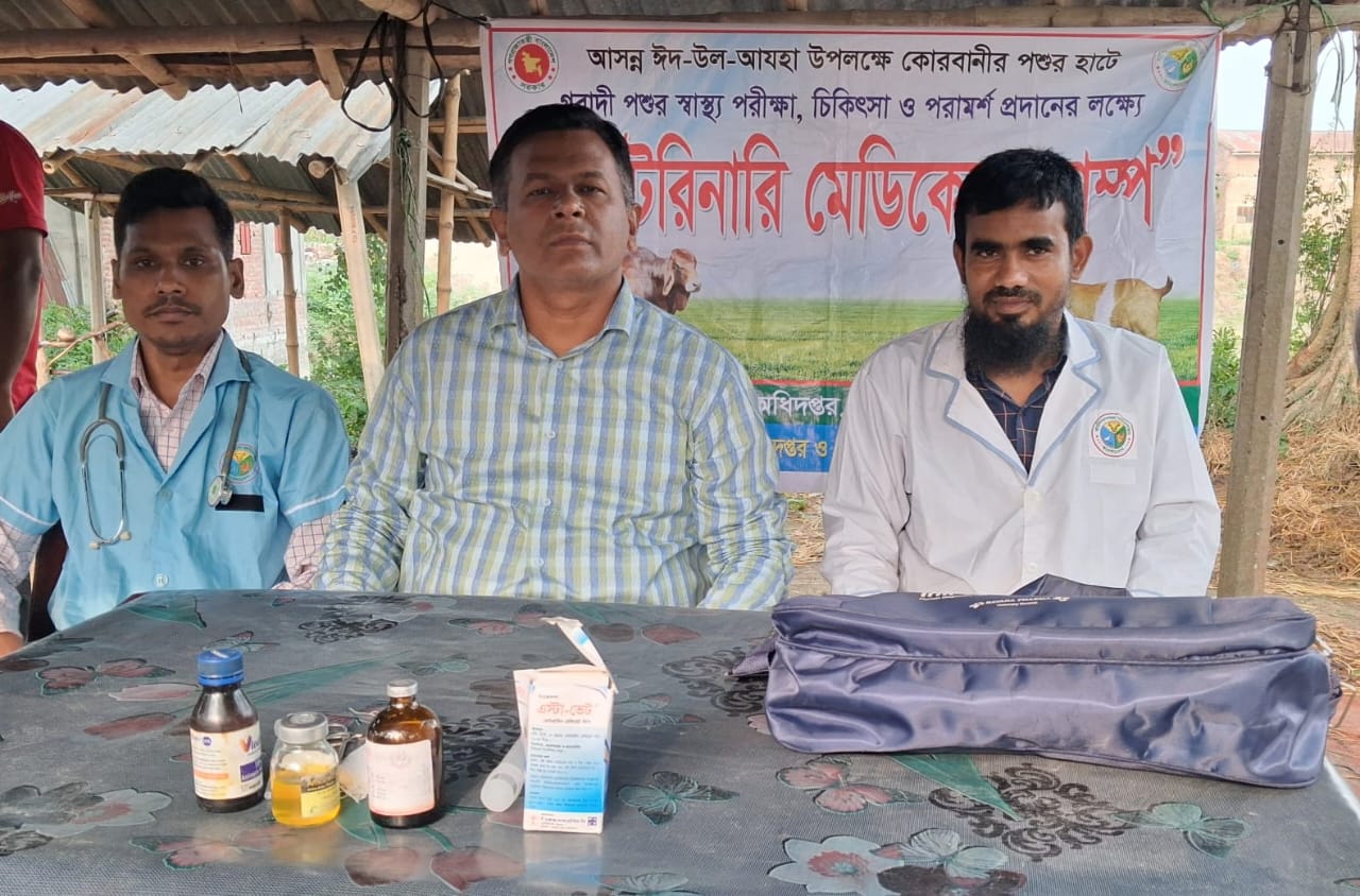 নাটোরে নলডাঙ্গায় কোরবানির পশুর হাটে ভেটেরিনারি মেডিকেল ক্যাম্প