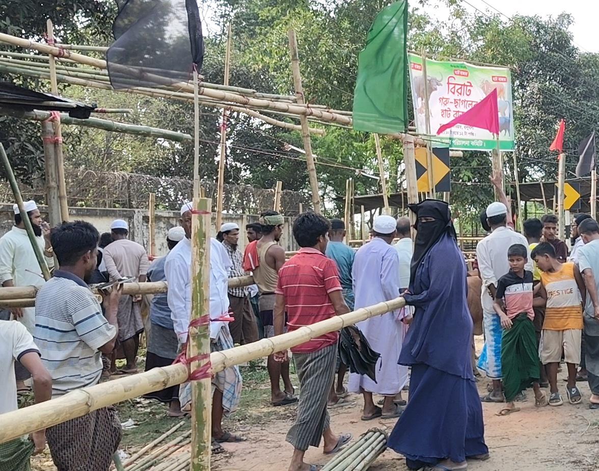 উখিয়ায় ১৫ লাখ টাকার গরুবাজার ৩০ হাজারে বিএনপির