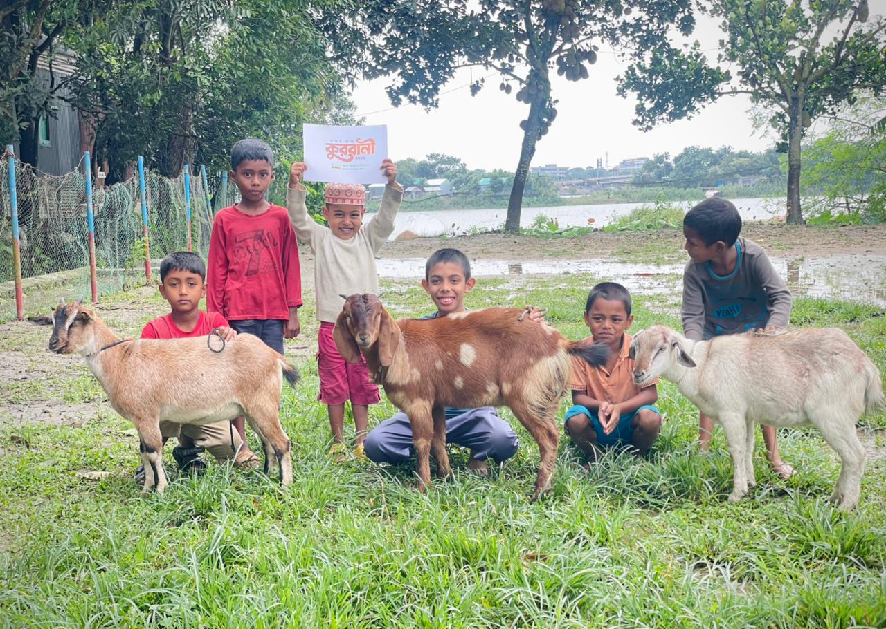 আস-সুন্নাহ ফাউন্ডেশনের উদ্যোগে তাড়াইলে গরু-ছাগল কুরবানি করে দুস্থদের মাঝে গোশত বিতরণ