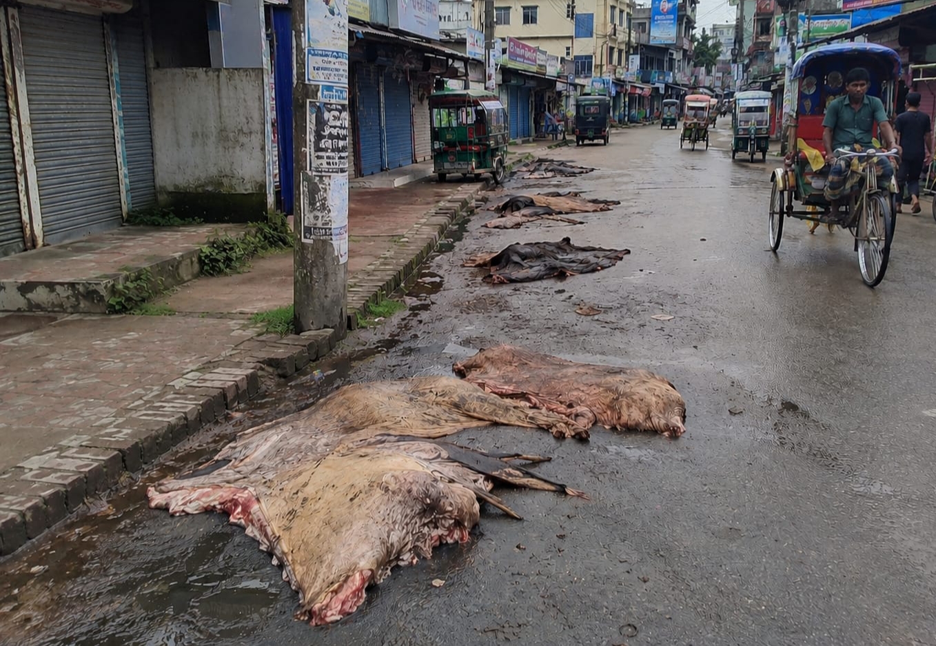 কালিয়াকৈর কোরবানি তিন দিন পার হলেও অপসারণ করা হয়নি কোরবানির বর্জ্য
