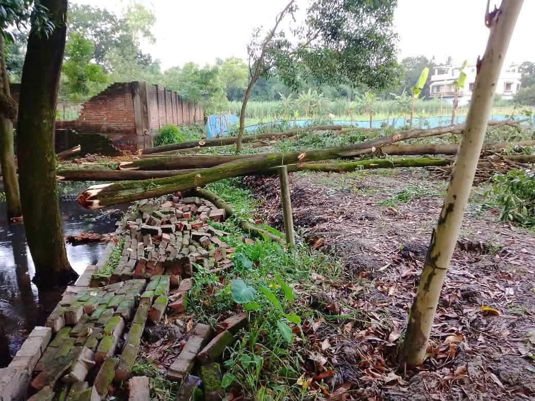 গাজীপুরে সাংবাদিকের পৈতৃক জমিতে দুর্বৃত্তদের তাণ্ডব; জোরপূর্বক গাছ কর্তন