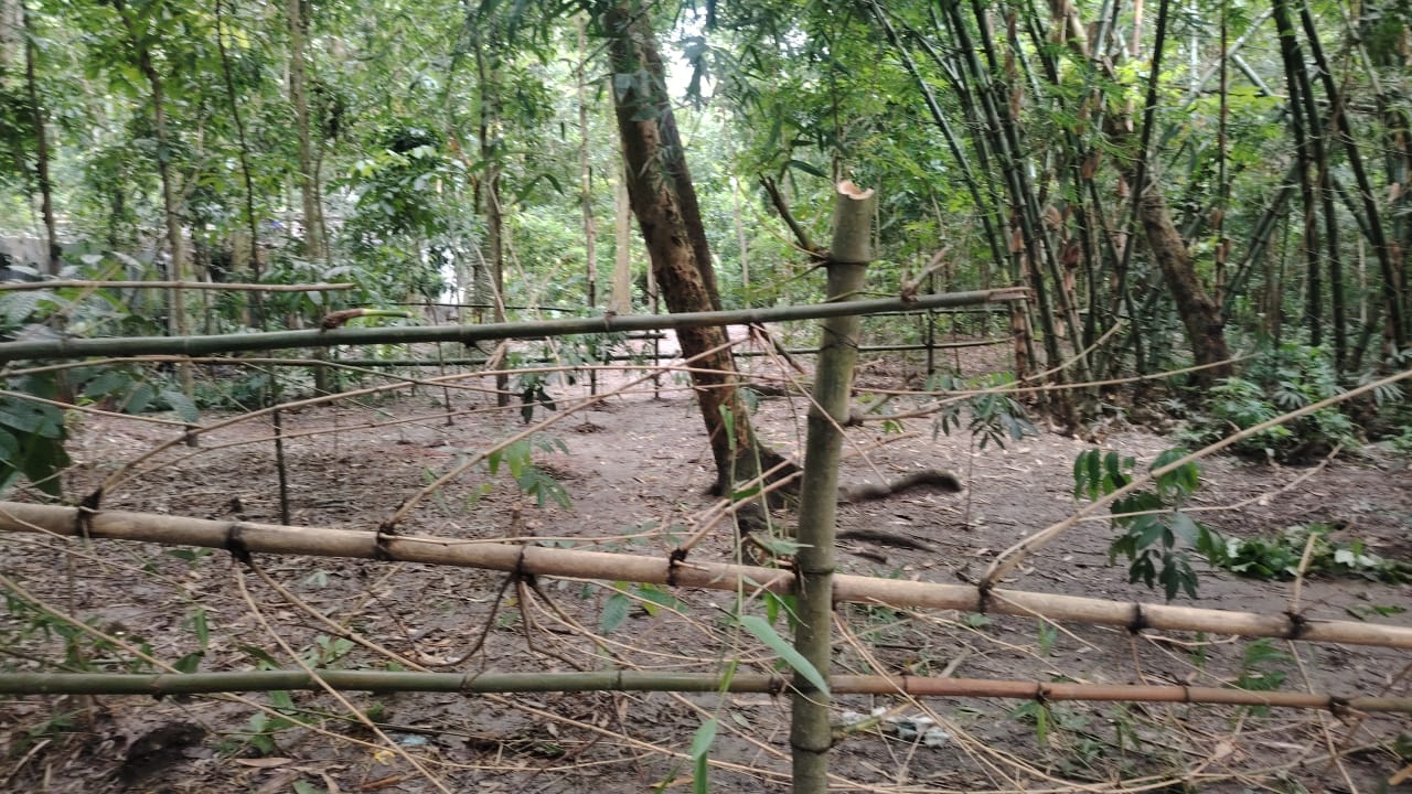 লোহাগড়ায় ৩৫ বছরের চলাচলের রাস্তা বন্ধ, অবরুদ্ধ ১৫ পরিবার