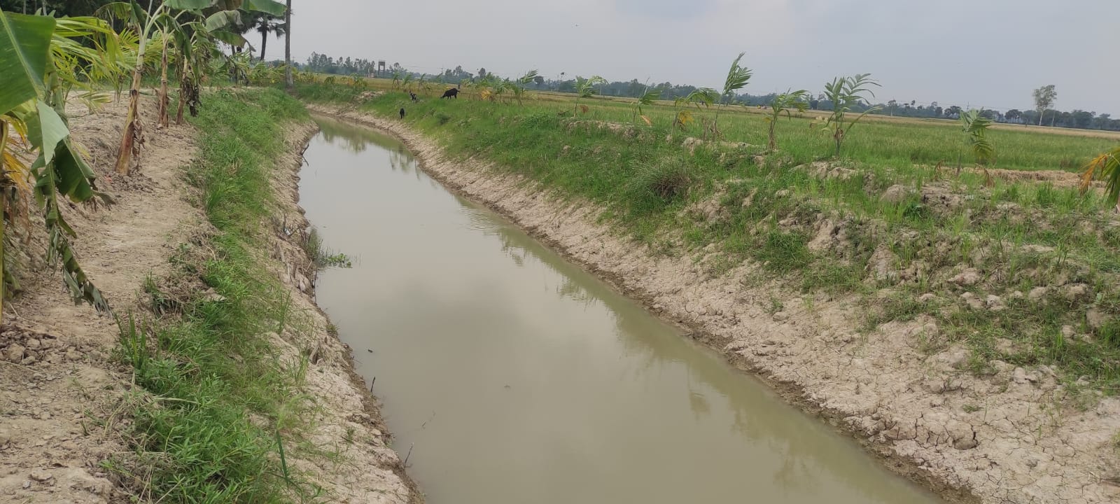 কালাইয়ে খাল খননে শ্রমিকের তালিকায় বিত্তবানদের নাম, অনিয়মের অভিযোগ প্রকল্প সভাপতির বিরুদ্ধে
