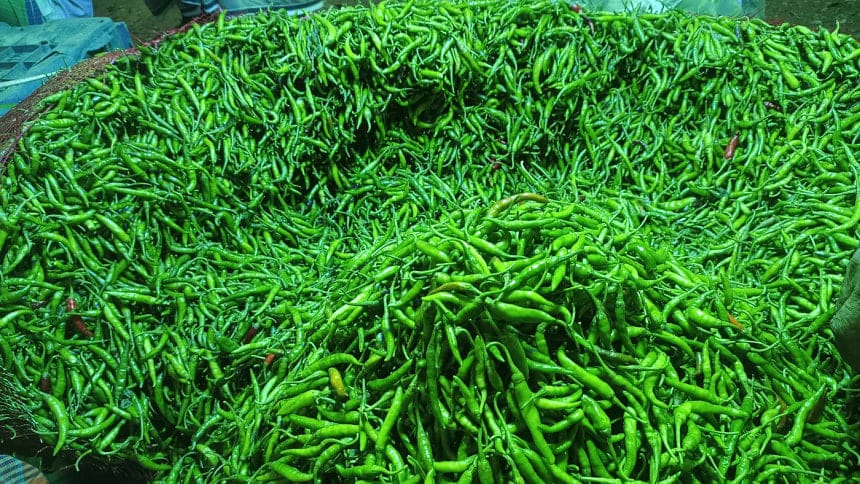 তাড়াইলে কাঁচা মরিচের কেজি ২০০ টাকা