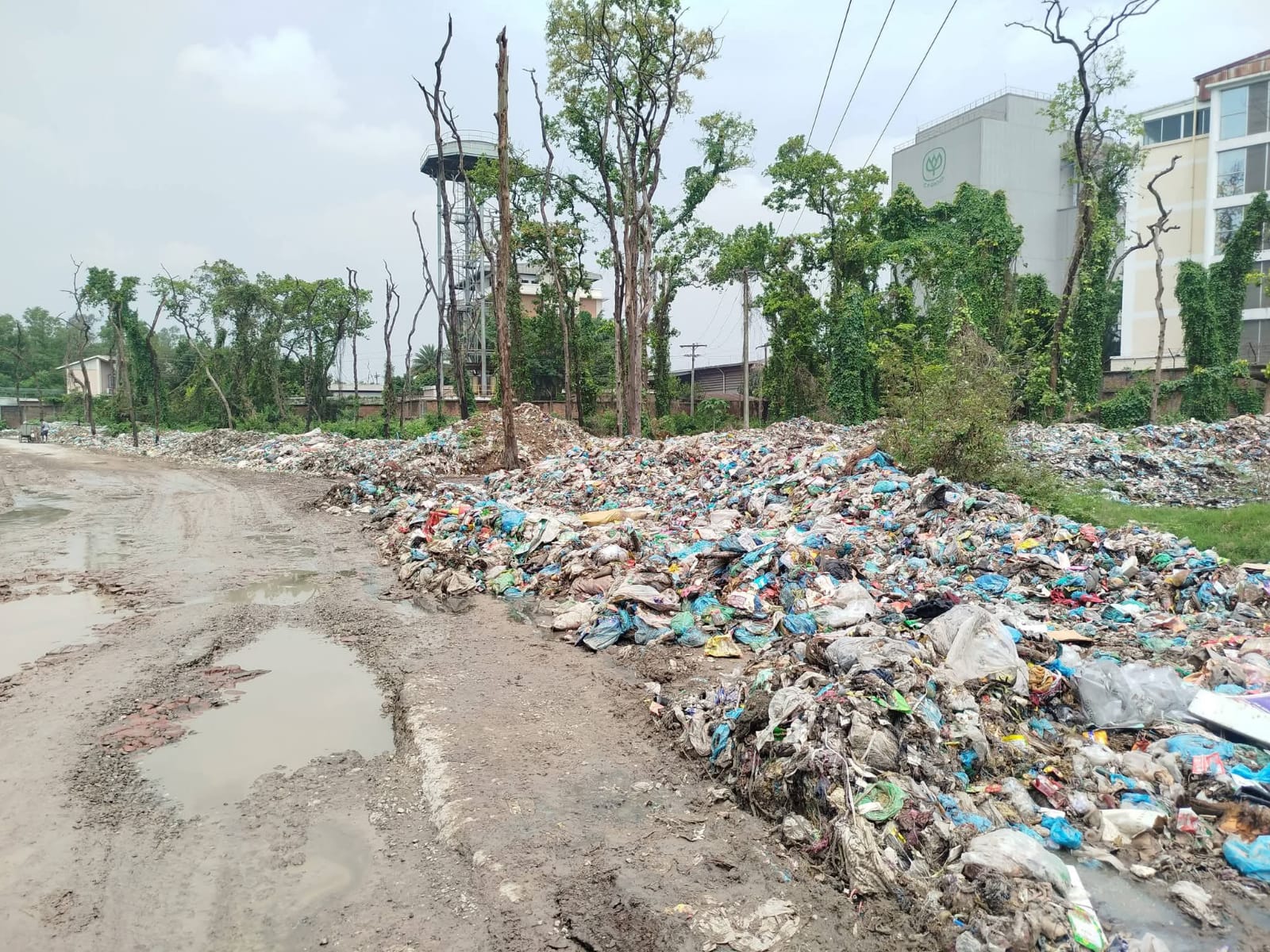 কালিয়াকৈরে পৌরসভায় বর্জ্য ব্যবস্থাপনায় ছড়াচ্ছে নানা ধরনের রোগব্যাধি, পৌরবাসির বিক্ষোভ