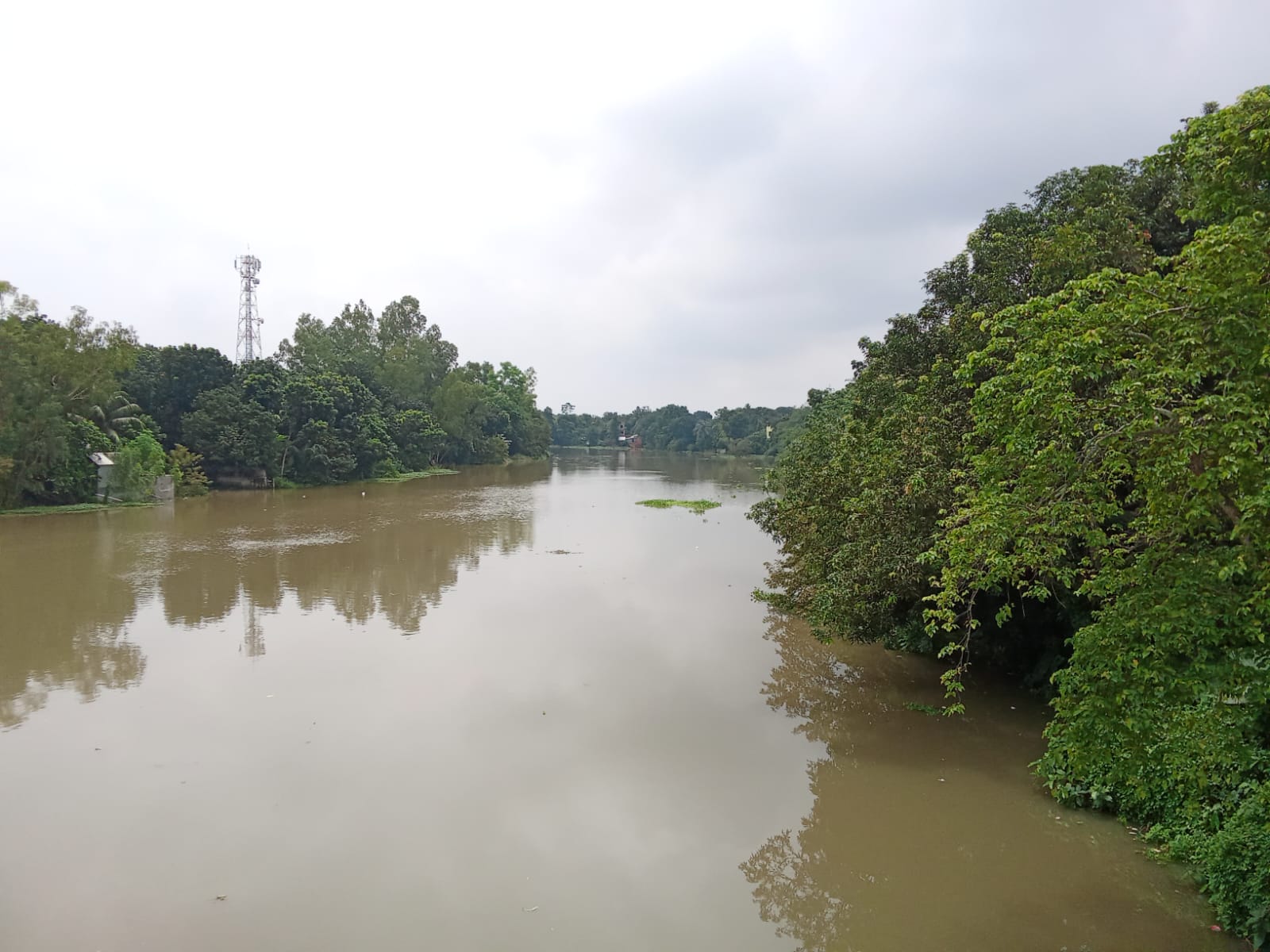 বর্ষাকালে পরিবারের সবাইকে সুস্থ ও নিরাপদ রাখতে সচেতনতা