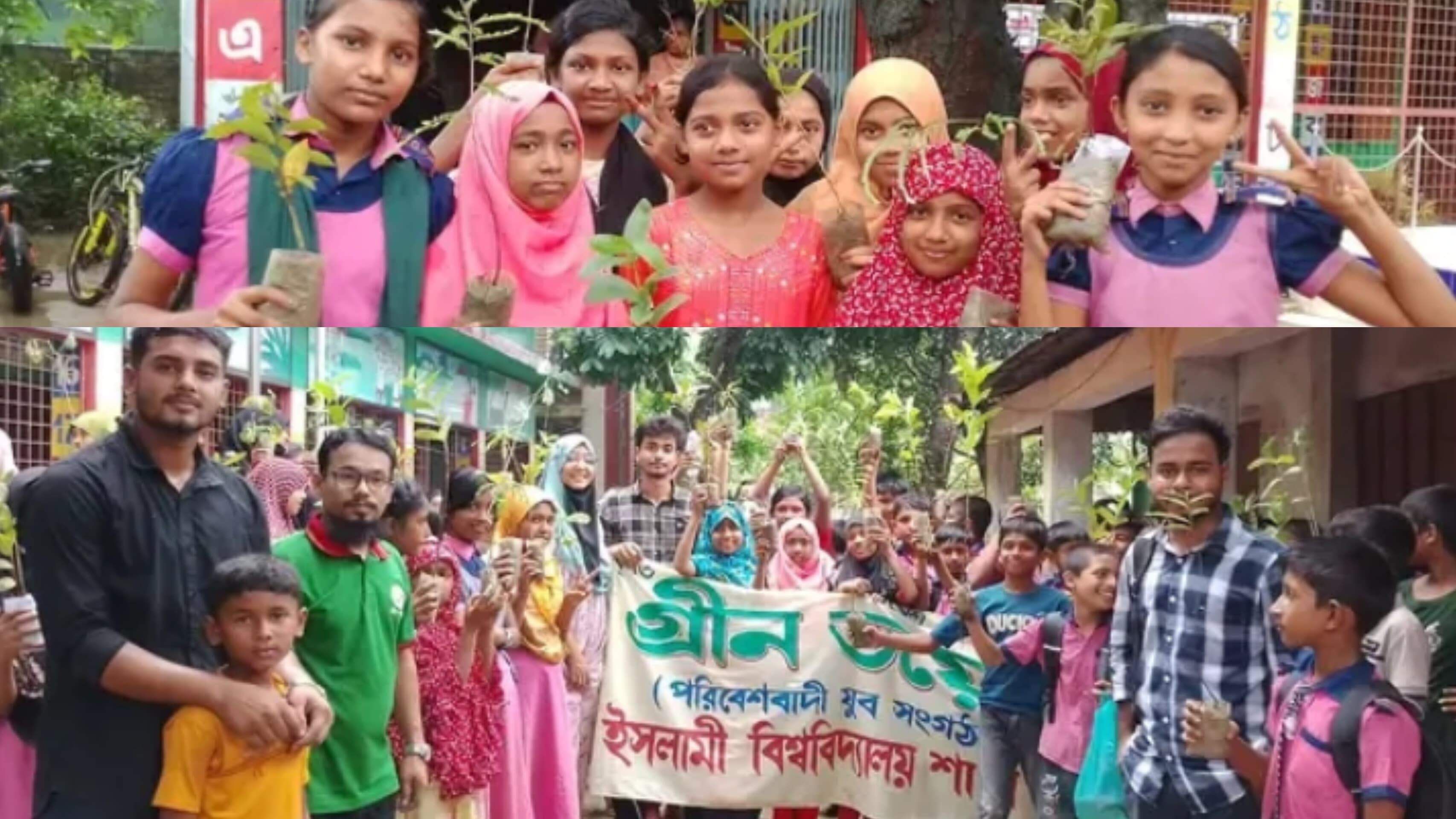 ইবি গ্রীন ভয়েসের উদ্যোগে বৃক্ষরোপণ ও চারা বিতরণ কর্মসূচি