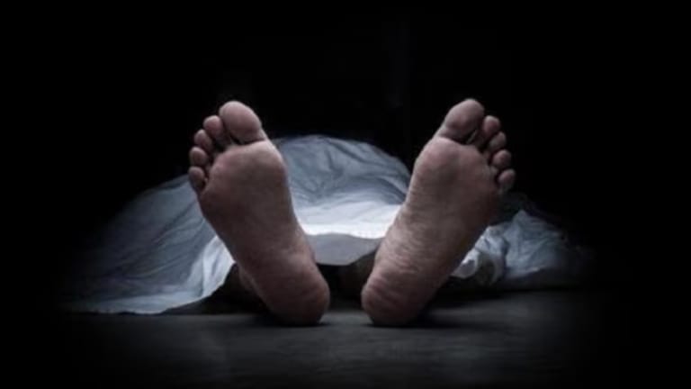 খুলনার বড় মির্জাপুরে ডেঙ্গুতে নারীর মৃত্যু, দুই কন্যাশিশু রেখে না ফেরার দেশে পলি