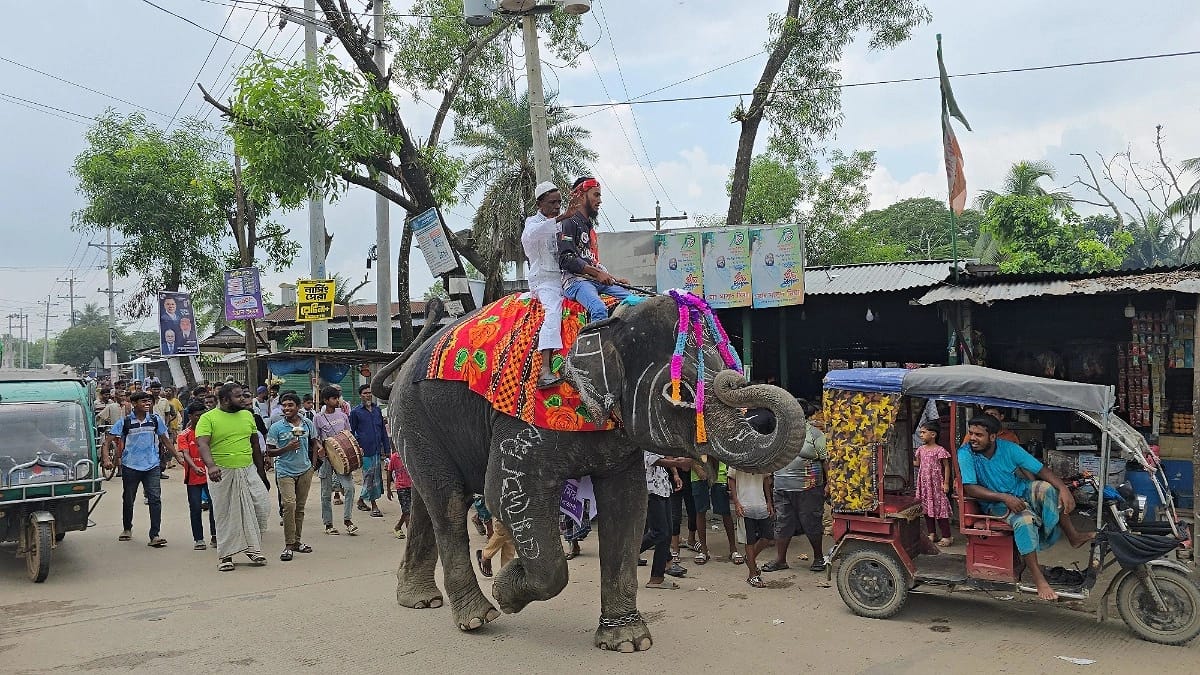 হাতির পিঠে চড়ে ব্যাতিক্রমী নির্বাচনী প্রচারে নামলেন সেলুন ব্যবসায়ী ফেরদৌস মিয়া